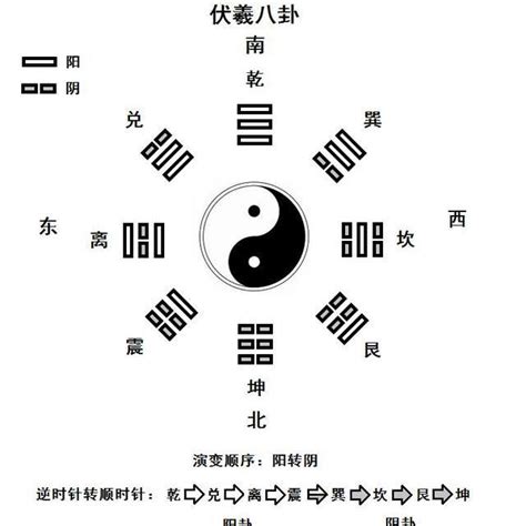 伏羲八卦祖師|伏羲八卦（名词解析）